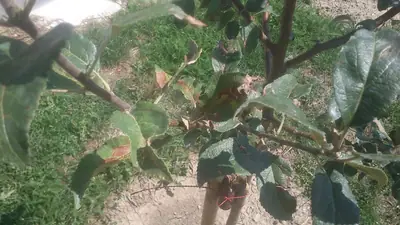 Má někdo nějaký dotaz? Sem s ním, rád odpovím!