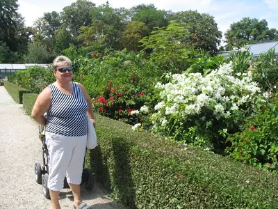 Bougainvillea vášeň pro její pěstování