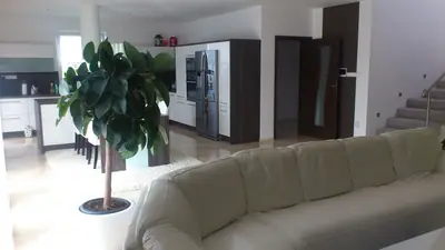 Nemocný fíkus, co mu je?