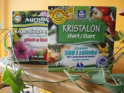 Mučenka (Passiflora) - vše o mučenkách