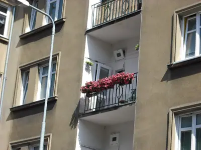 Pěstování Surfinie