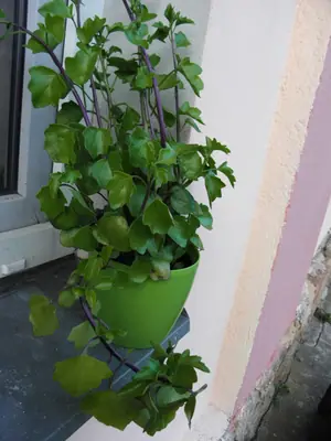 Má někdo nějaký dotaz? Sem s ním, rád odpovím!
