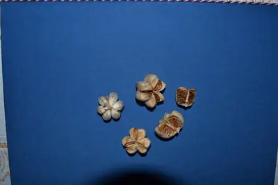 Má někdo nějaký dotaz? Sem s ním, rád odpovím!