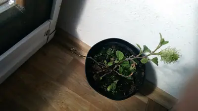 Jak se jmenuje?