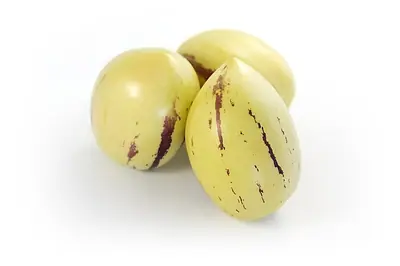 Pepino Gold