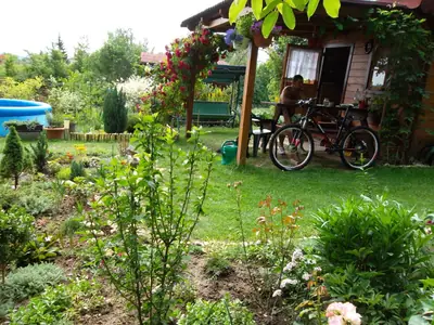 Pergola - inspirace