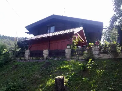 Brambořík